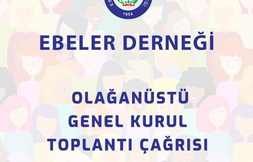  Türk Ebeler Derneği